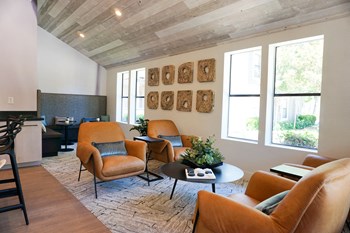Sorelle apartments common area with four brown leather chairs and large windows with natural light pouring in